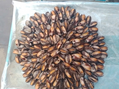 Sản phẩm chủ lực