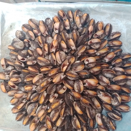 Sản phẩm chủ lực